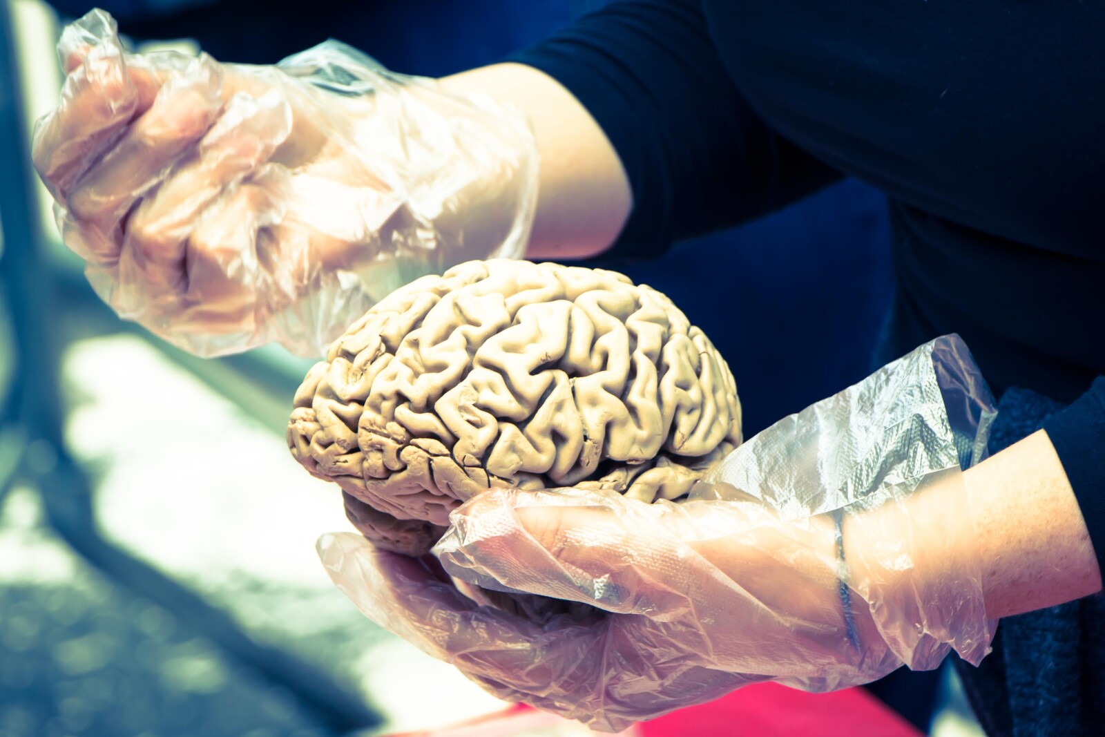 Crucial Glasgow Coma Scale Unlocks Brain Injury Secrets