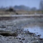 Camp Lejeune Water Contamination Lawsuits Strike St. Louis