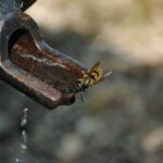 Camp Lejeune Water Contamination: Washington Residents Seek Justice