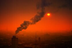 How to Join an Air Pollution Class Action Lawsuit