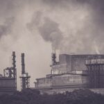 The Role of Expert Witnesses in Air Pollution Class Actions