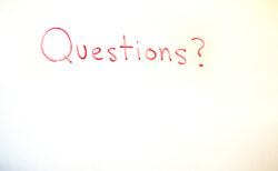 Legal FAQs: Get Answers From the Experts
